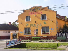 Отель Platán Panzió, Ньюль